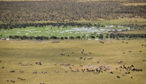 Ngorongoro Crater | Safari Tour Guide