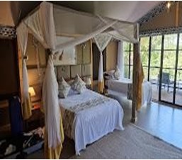 Masai Mara Game Reserve | Safari Tour Guide