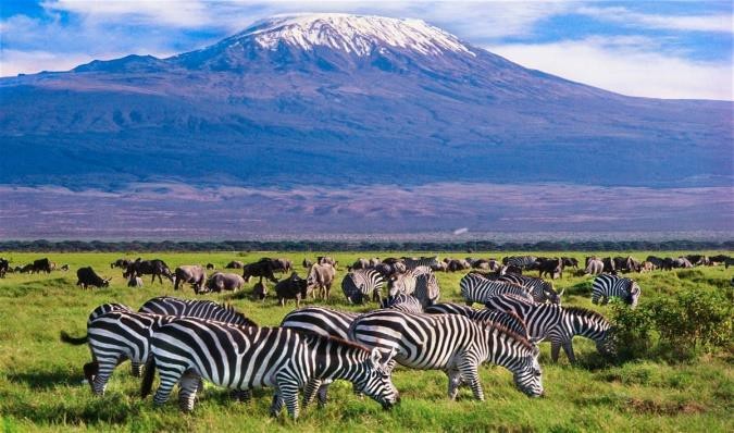 Amboseli National Park | Guided Tour and Safari