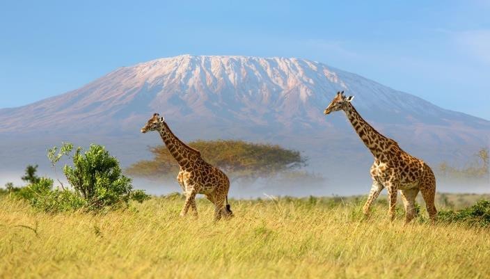 Amboseli National Park | Classic Guided Safaris