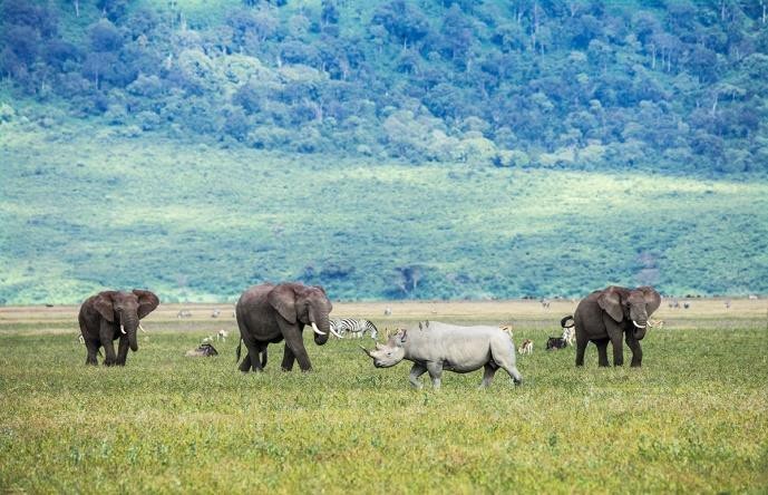 Lake Manyara National Park | Ngorongoro Conservation area | Safari Tour Guide