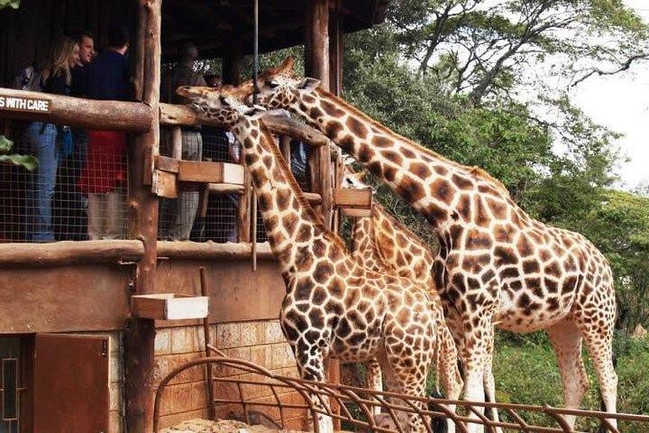 Carnivore Restaurant Safari Tour Guide for Dinner